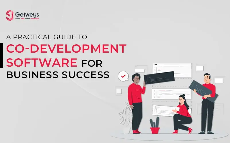 A Practical Guide To Co-development Software For Business Success